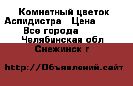 Комнатный цветок Аспидистра › Цена ­ 150 - Все города  »    . Челябинская обл.,Снежинск г.